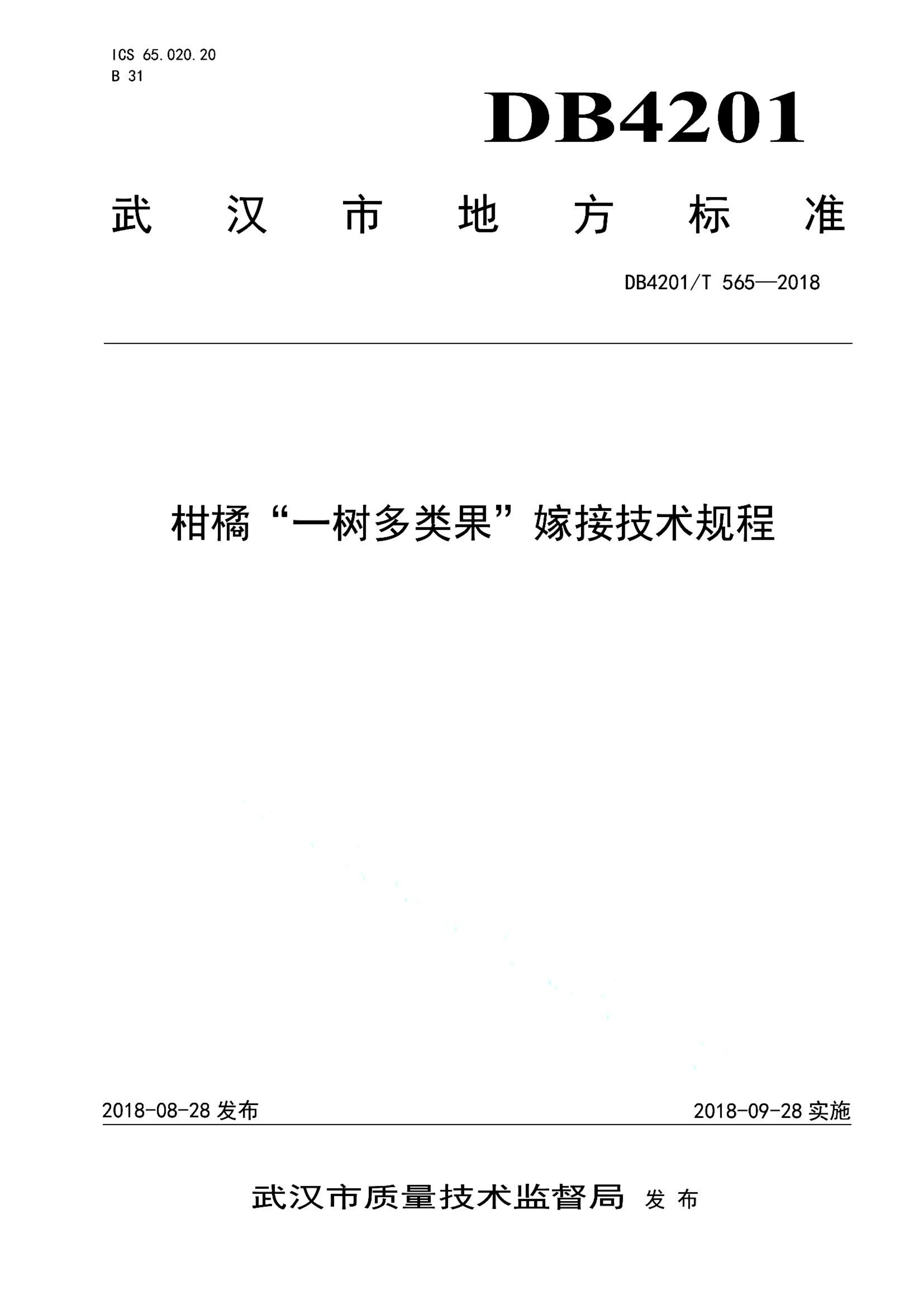 资源详情图